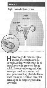 Beeldvergroting: (Algemeen Dagblad, vandaag)\n
