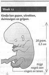 Beeldvergroting: Primeur! Volgens het AD ziet Hare (Zijne) Koninklijke Hoogheid er momenteel zo uit.