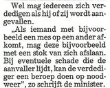 Beeldvergroting: (Fragment artikel)