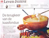 Beeldvergroting: (Het gewraakte artikel in NRC-Handelsblad, zaterdag)