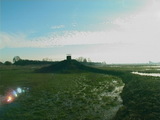 Beeldvergroting: ?...in de wetlands van Weesp...?