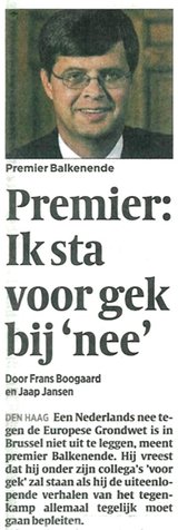 Beeldvergroting: (Algemeen Dagblad, vandaag)