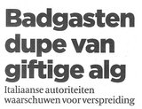 Beeldvergroting: (Algemeen Dagblad)