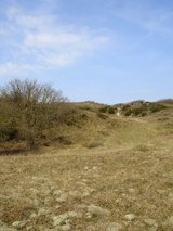 Beeldvergroting: Landschap 2