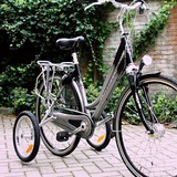 Beeldvergroting: Omafiets, 2008