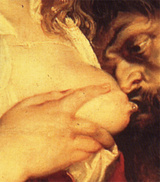 Beeldvergroting: Peter Paul Rubens - borsten van Delilah