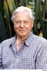 Beeldvergroting: David Attenborough: \'...werk onherstelbaar verminkt...\'