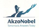 Beeldvergroting: Het nieuwe logo van AkzoNobel