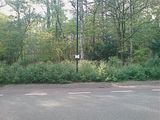 Beeldvergroting: 