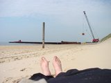 Beeldvergroting: Op het strand van Egmond