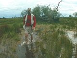 Beeldvergroting: Siegfried Woldhek in de wetlands