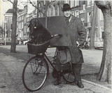 Beeldvergroting: Rembrandt op de fiets