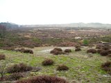 Beeldvergroting: 2002 - Duinlandschap bij Schoorl